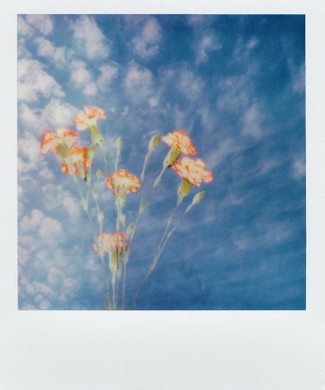 art-artistic-background-2346449